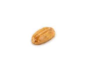 4004011-gall-1-300x240